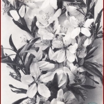 Цветы миндаля. Не позднее 1918 г. РГАЭ. Ф. 6856. Оп. 1. Д. 1017. Л. 5.