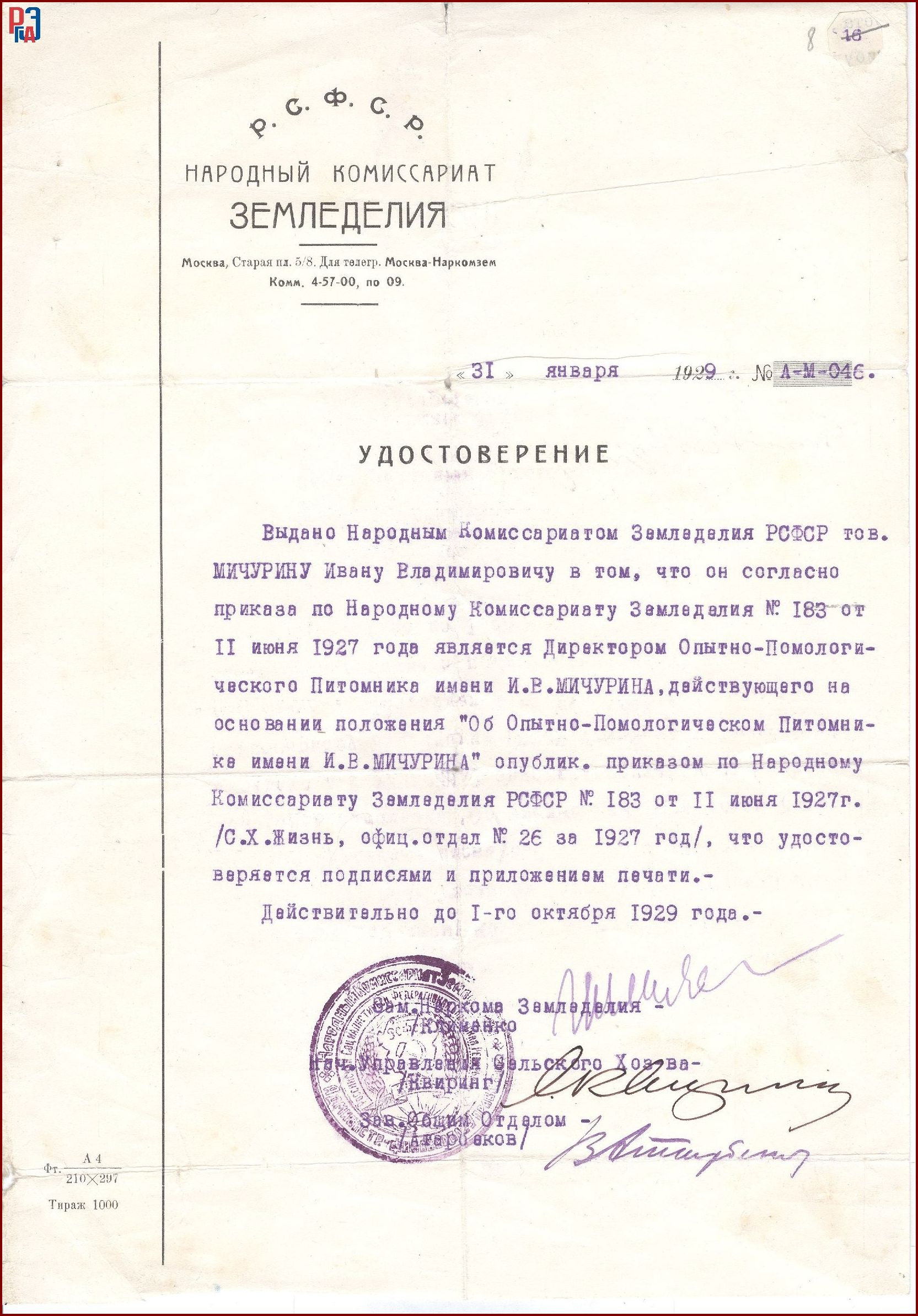 РГАЭ. Ф. 6856. Оп. 1. Д. 8. Л. 8. РГАЭ. Ф. 6856. Оп. 1. Д. 8. Л. 8.