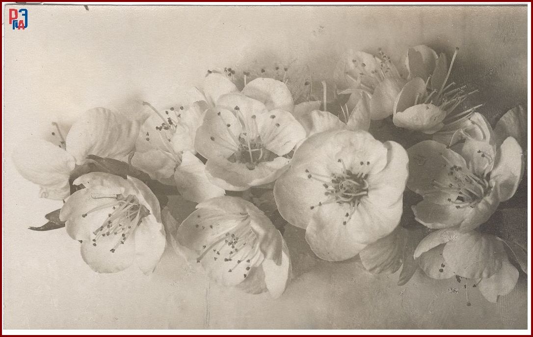 РГАЭ. Ф. 6856. Оп. 1. Д. 998. Л. 24. РГАЭ. Ф. 6856. Оп. 1. Д. 998. Л. 24.