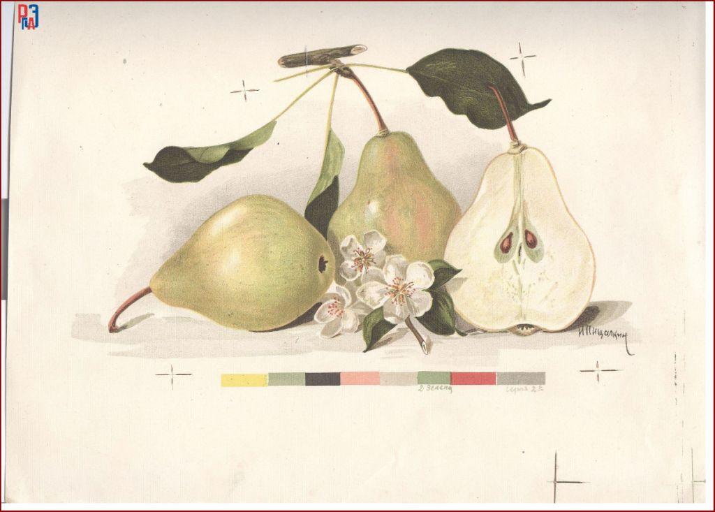 РГАЭ. Ф. 6856. Оп. 1. Д. 988. Л. 18. РГАЭ. Ф. 6856. Оп. 1. Д. 988. Л. 18.