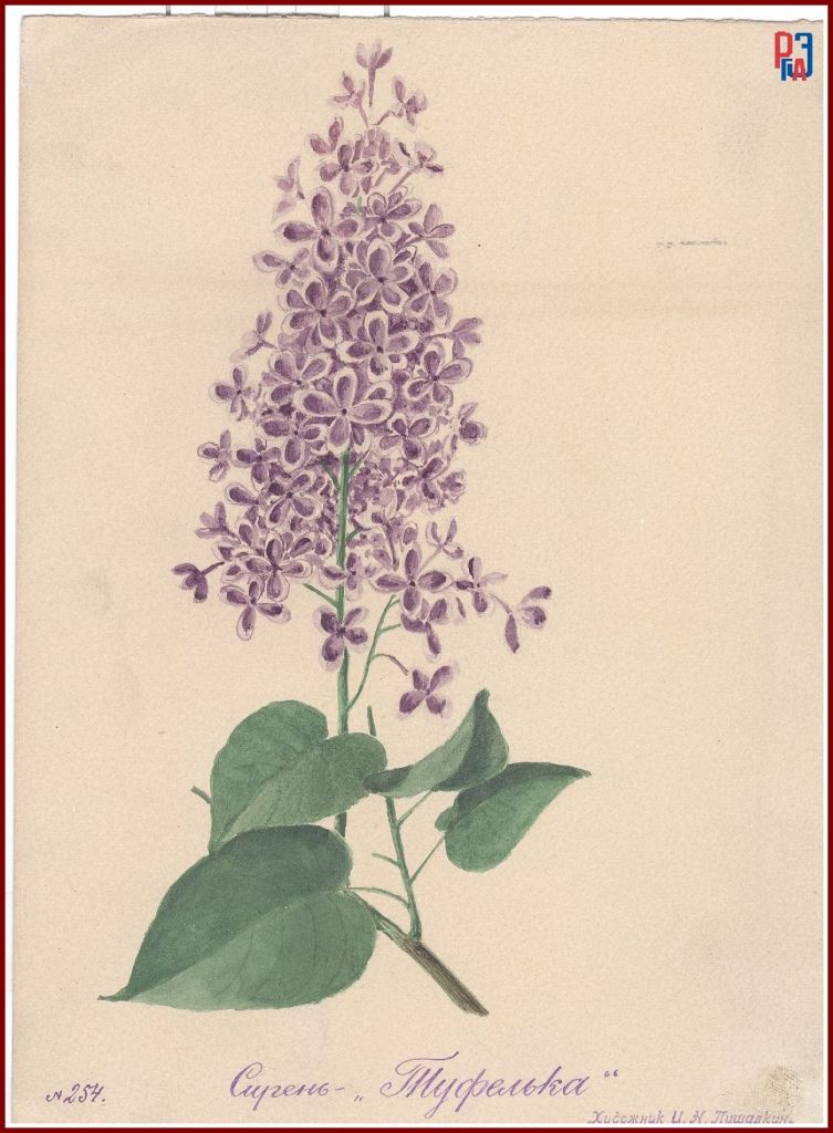 РГАЭ. Ф. 6856. Оп. 1. Д. 993. Л. 1. РГАЭ. Ф. 6856. Оп. 1. Д. 993. Л. 1.