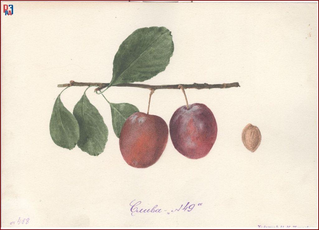 РГАЭ. Ф. 6856. Оп. 1. Д. 994. Л. 1. РГАЭ. Ф. 6856. Оп. 1. Д. 994. Л. 1.