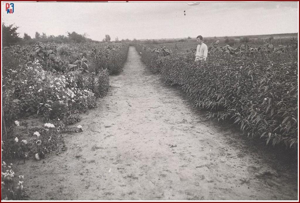 РГАЭ. Ф. 6856. Оп. 1. Д. 1026. Л. 1. РГАЭ. Ф. 6856. Оп. 1. Д. 1026. Л. 1.