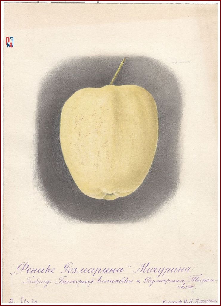 РГАЭ. Ф. 6856. Оп. 1. Д. 996. Л. 1. РГАЭ. Ф. 6856. Оп. 1. Д. 996. Л. 1.